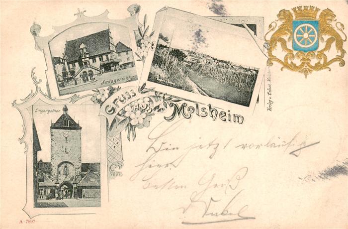 Molsheim 67 Bas-Rhin Amtsgericht Stadttor Panorama Wappen