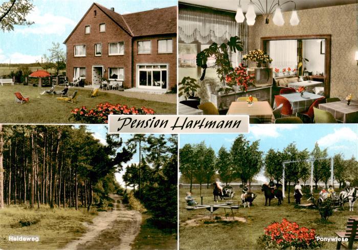 Hardensetten Bad Laer Pension Hartmann Heideweg Ponyreiten