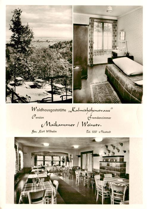 Maikammer Waldhausgaststaette Kalmithoehenstrasse Terrasse Fernsicht