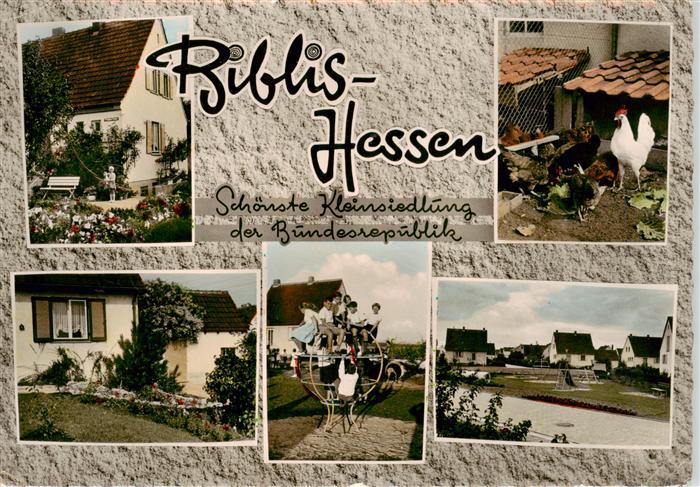 Biblis Teilansichten Kleinsiedlung Huehner Kinderspielplatz Bundessieger Schoens