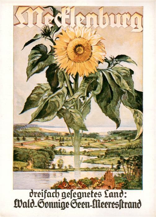 ROSTOCK  CITY Mecklenburg Wald Sonnige Seen Meeresstrand Landschaftspanorama Son