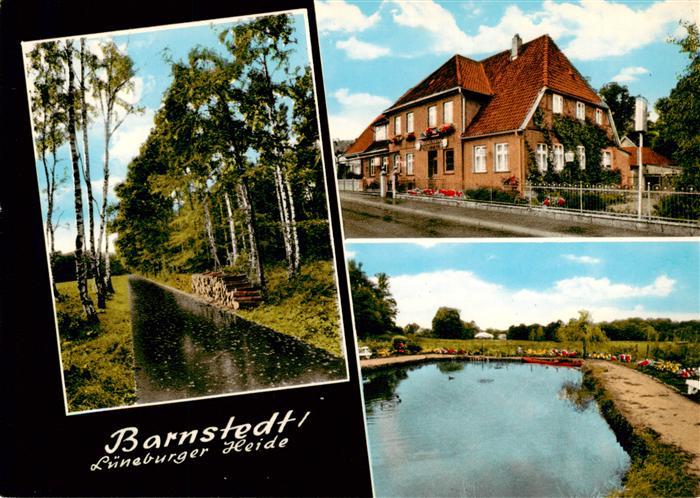 Barnstedt Lueneburger Heide Gasthaus Teich Waldpartie