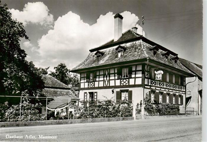Mammern Gasthaus Adler