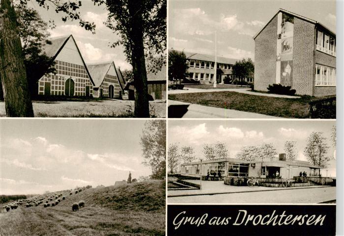 Drochtersen Teilansichten Schafherde