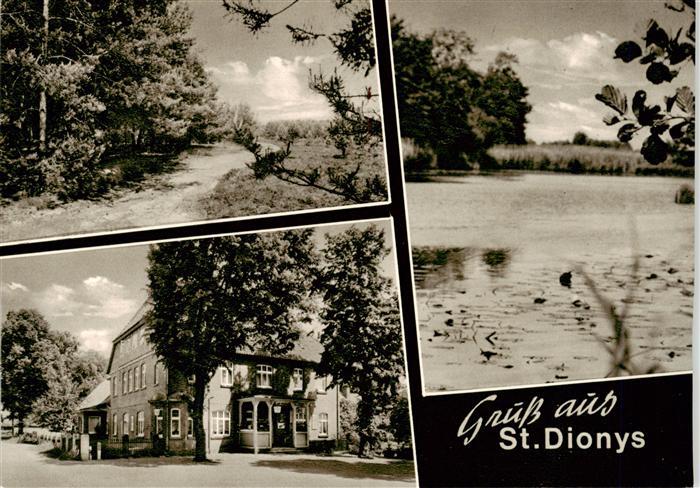 St Dionys Sankt Dionys St Barum Gast- und Pensionshaus Voelker Waldweg Landschaf