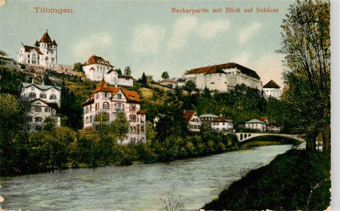 TueBINGEN BW Neckarpartie mit Schlossblick