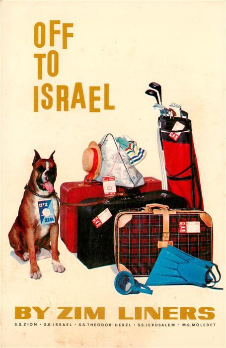 Israel By zim Liners