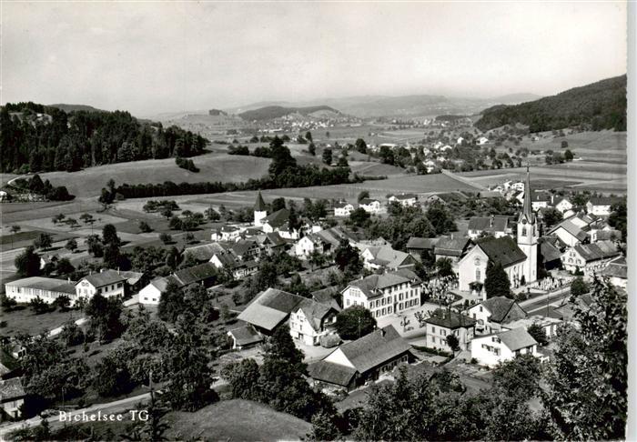 Bichelsee Fliegeraufnahme