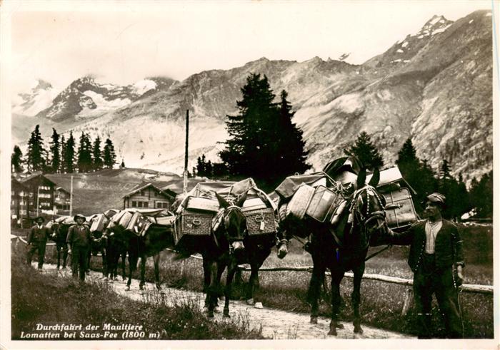 Saas-Fee VS Durchgang der Maultiere Lomatten