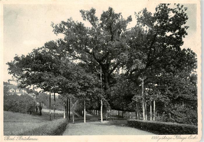 Bad Brueckenau 1000-jaehrige Koenigseiche Kupfertiefdruck