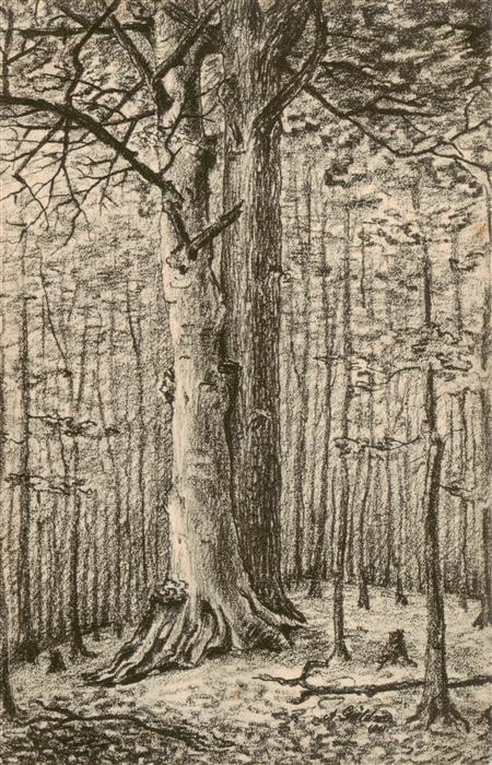 Rengsdorf Die Geiseleiche