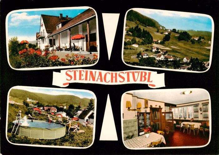 Warmensteinach Steinachstuebl Gaststube Panorama Pool