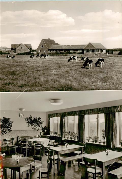 St Peter-Ording Kindererholungsheim Richardsen Gastraum Viehweide Kuehe