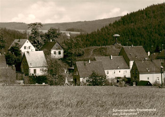 Schwarzenstein Wald Schwarzenbach Frankenwald Ansicht mit Schwamma