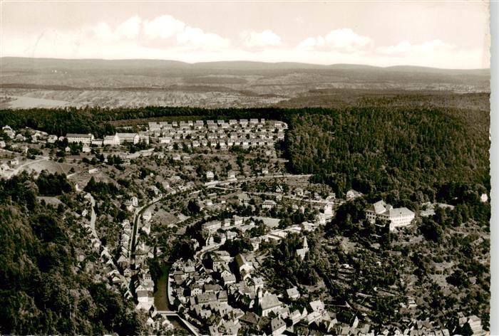 Neuenburg  Rhein Fliegeraufnahme