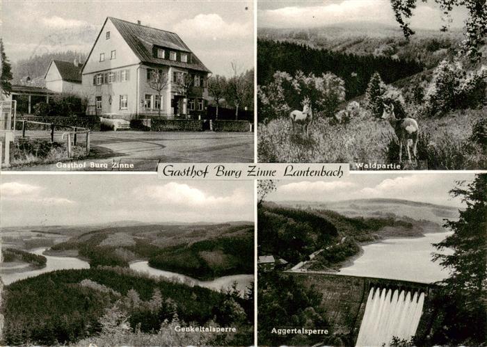 Lantenbach Gummersbach Gasthof Burg Zinne Waldpartie Wild Aggertalsperre Genkelt