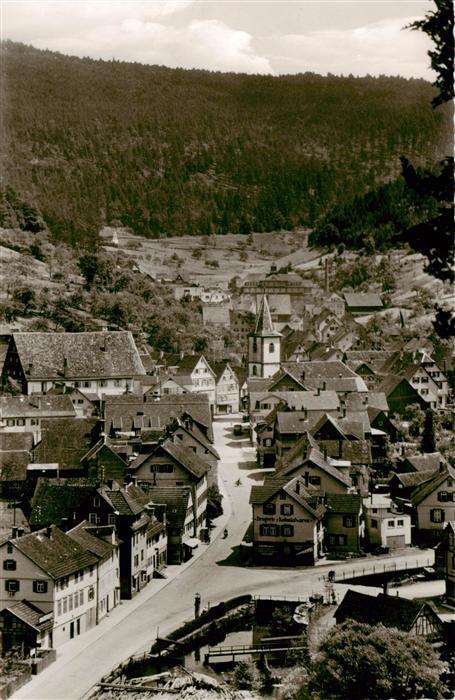 Calmbach Enz Ortsansicht