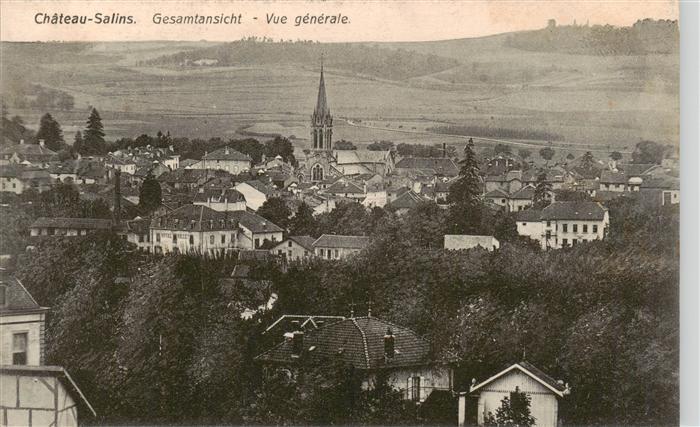 Chateau-Salins 57 Moselle Vue generale