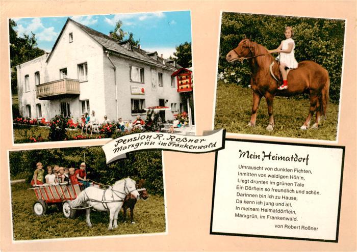 Marxgruen Naila Pension Rossner Ponykutsche Kinderreiten