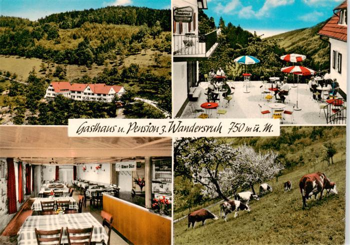 Sohlberg Ottenhoefen Schwarzwald Gasthaus Pension zur Wandersruh Gaststube Terra