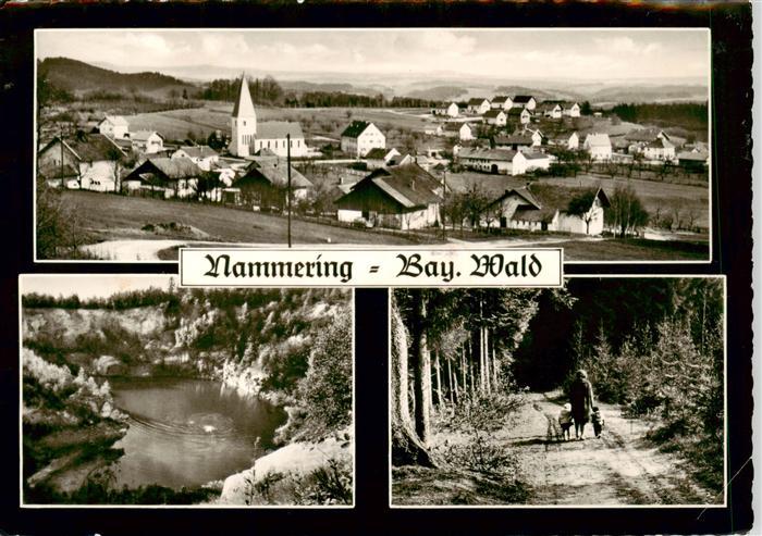 Nammering Fuerstenstein Panorama Ansicht mit Kirche See Waldweg