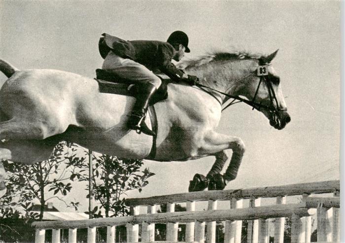 Reitsport Pferdesport Pferderennen Kamerad unter Hermann Schridde