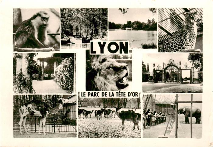Zoo Gardin Zoologique-- Lyon Parc de tete dor