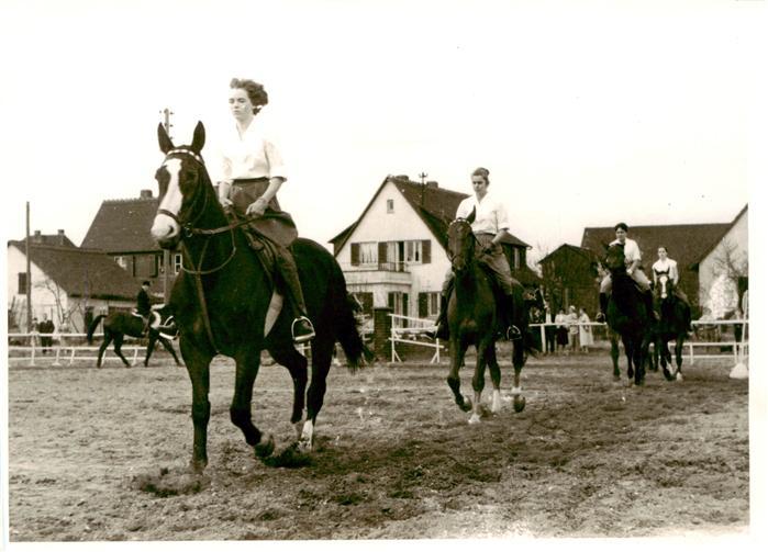 Adel Niederlande Reiten