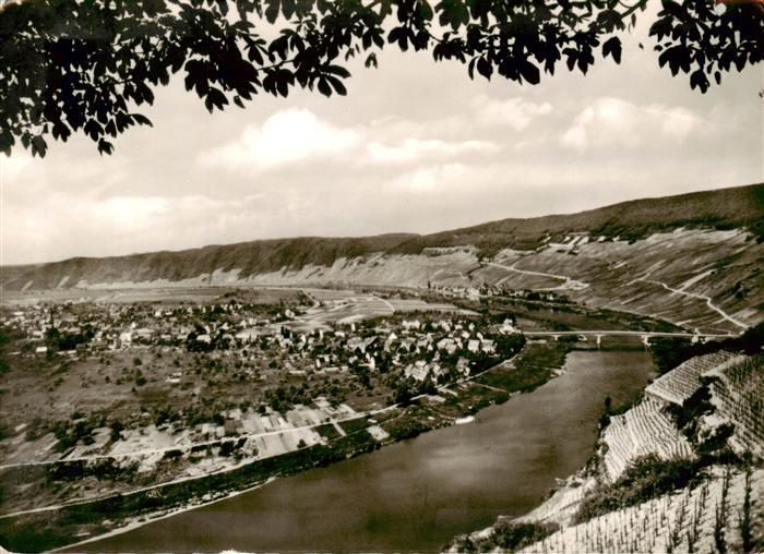 Niederemmel Moselpartie