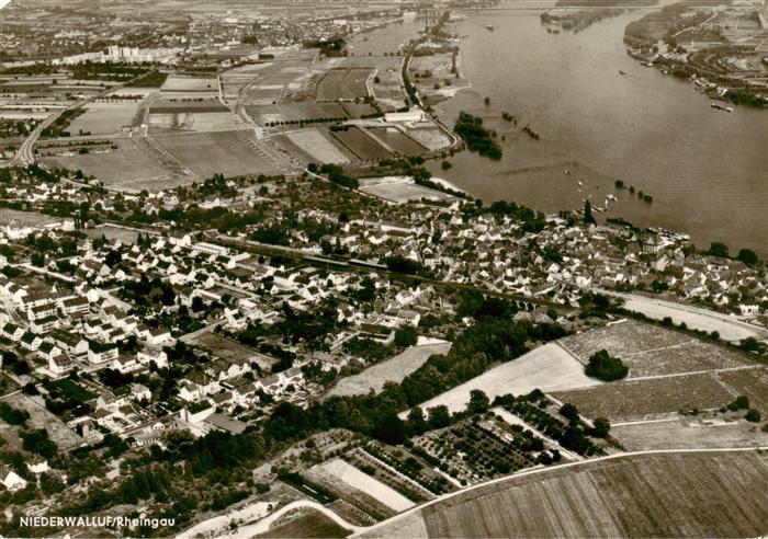 Niederwalluf Fliegeraufnahme