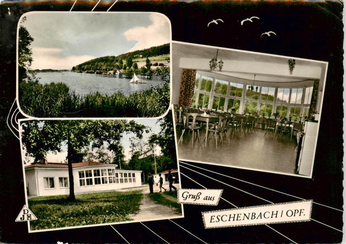 Eschenbach Oberpfalz Jugendherberge am Russweiher Uferpartie am See