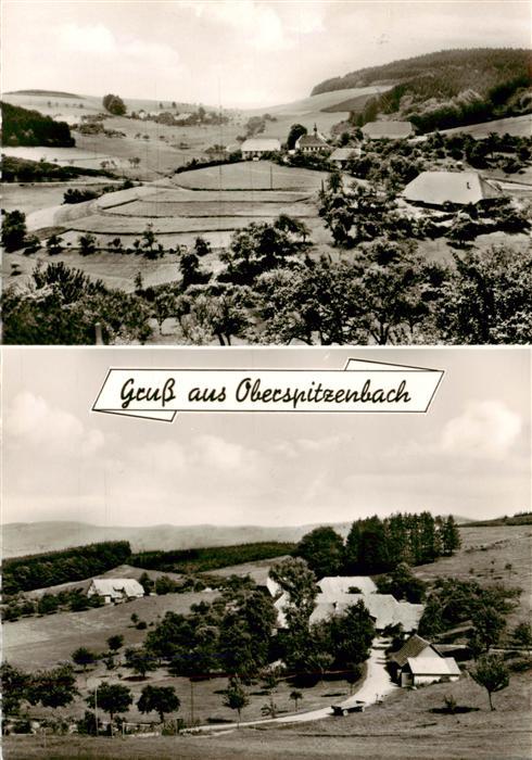 Oberspitzenbach Oberwinden Elztal Gasthaus zum Hirschen Panorama