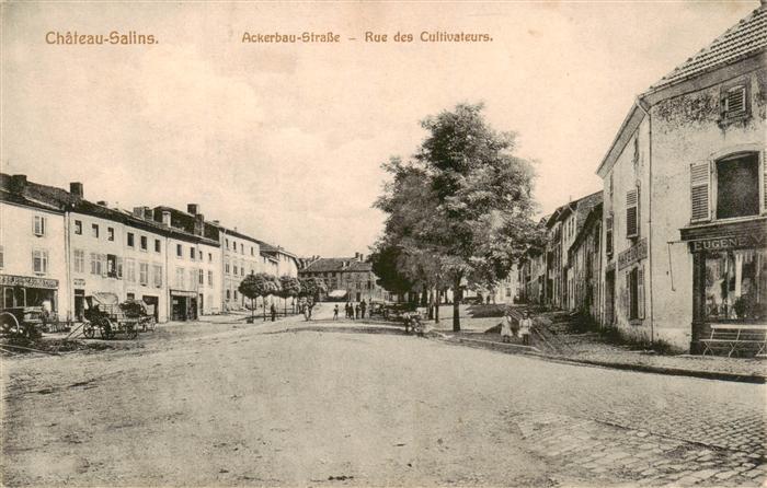 Chateau-Salins 57 Moselle Ackerbau Strasse Feldpost