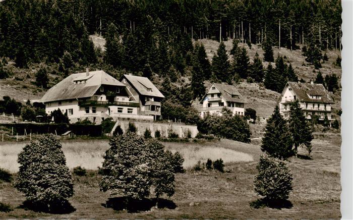 Saig Schwarzwald Hotel Sonnhalde Pension Wischerhoff Haus Kurz Hilbert