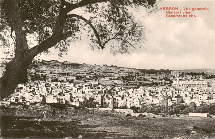 Hebron  Israel Vue generale