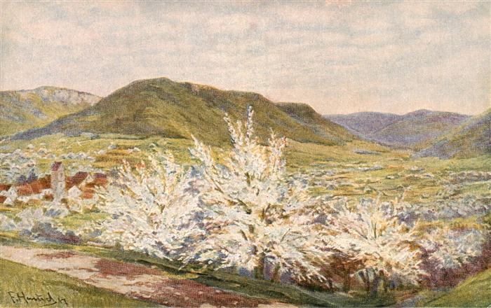 Oberlenningen BW in der Kirschenbluete F. Hummel Kuenstlerkarte