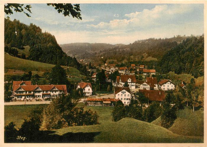 Steg Toesstal ZH Panorama