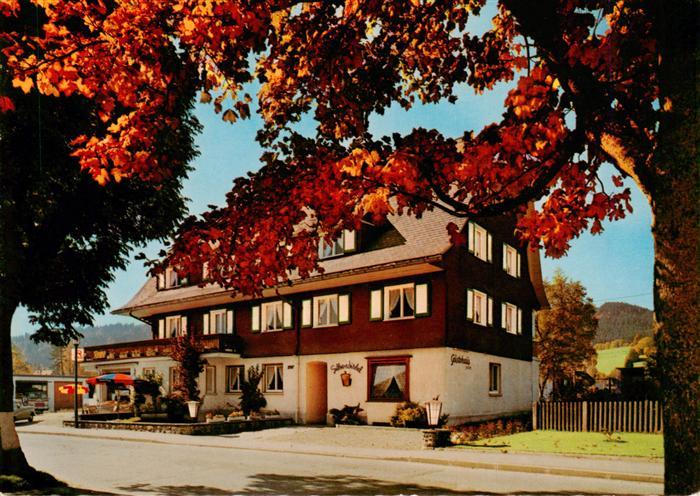 Hinterzarten Breisgau-Hochschwarzwald BW Fremdenheim Haus Silberdistel