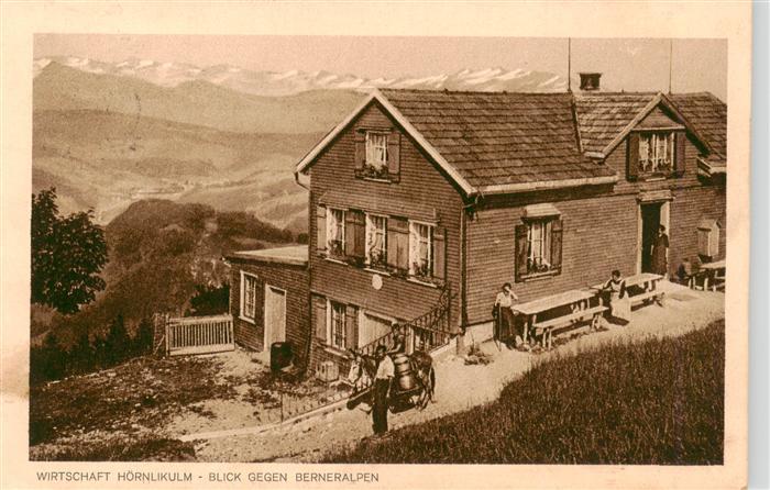 Hoernli-Kulm 1136m ZH Wirtschaft Hoernlikulm Blick gegen Berneralpen