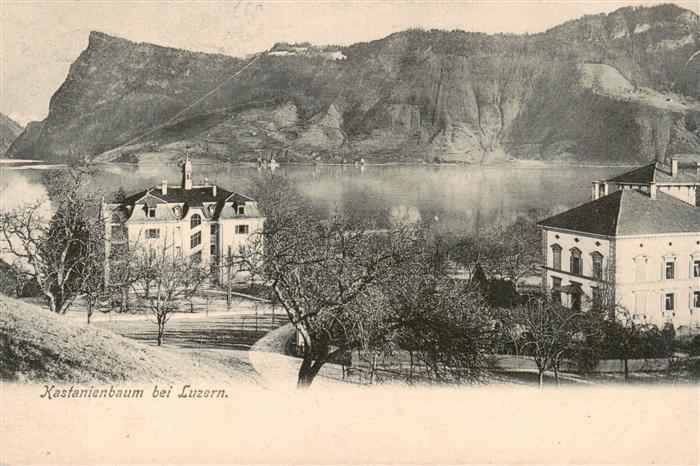 Kastanienbaum LZ Panorama