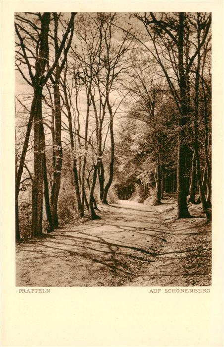 Pratteln BL Auf Schoenenberg
