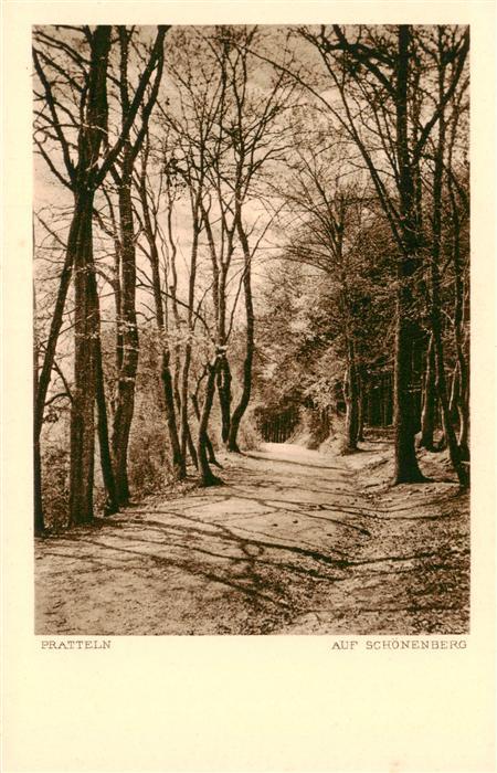 Pratteln BL Auf Schoenenberg