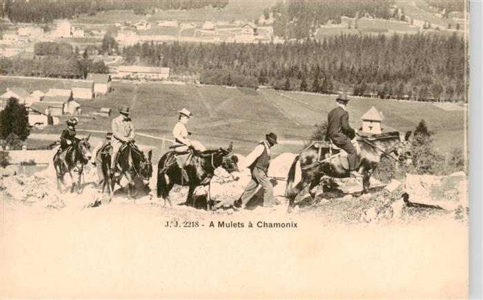 Chamonix 74 Haute-Savoie A Mulets Lasttiere