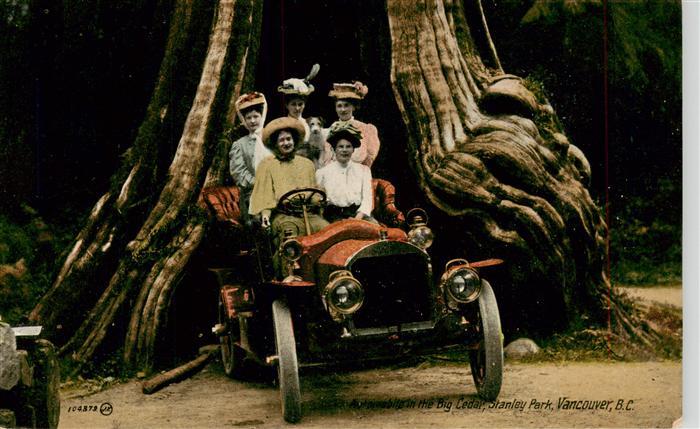 Vancouver BC Canada Automobile in the Big Cedar Stanley Park