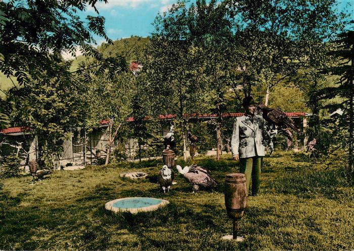 Berlebeck Adlerwarte Berlebeck