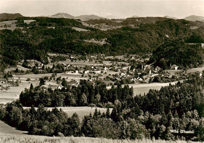 Wila Toesstal ZH Panorama