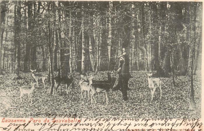 Lausanne VD Parc de Sauvabelin