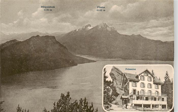Weggis Vierwaldstaettersee Panorama Buergenstock Pilatus Felsentor Hotel Dr. Buo