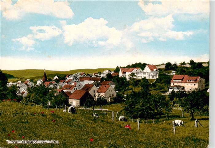 Fussingen Waldbrunn Westerwald Ortsansicht