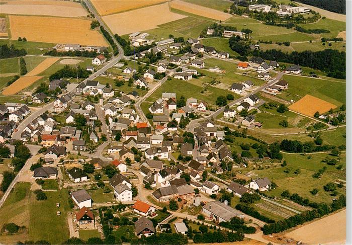 Springen Heidenrod Taunus Fliegeraufnahme